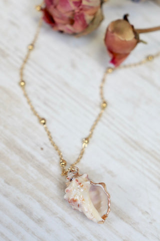 Conch shell necklace (Gold)