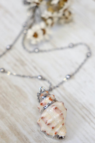 Conch shell necklace (Silver)