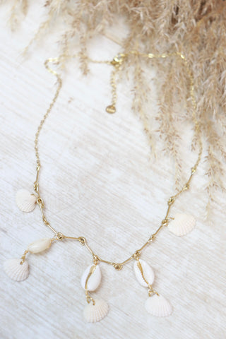 Clam shell necklace (Gold)